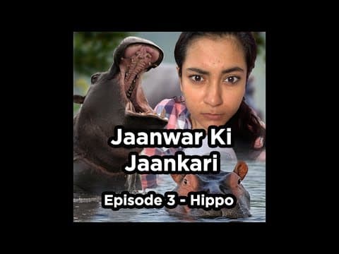 Jaanwar Ki Jaankari Episode 3 - Hippopotamus  | Comedy | Sumaira Shaikh