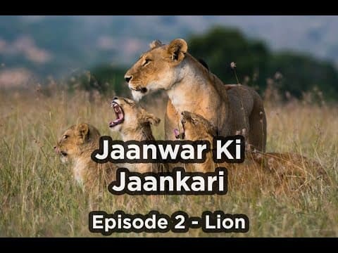 Jaanwar Ki Jaankari Episode 2 - Lion  | Comedy | Sumaira Shaikh