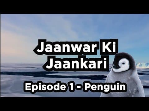 Jaanwar Ki Jaankari Episode 1 - Penguins | Comedy | Sumaira Shaikh