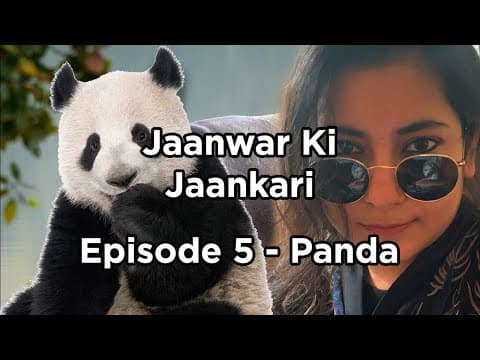 Jaanwar Ki Jaankari Episode 5 - Panda | Comedy | Sumaira Shaikh