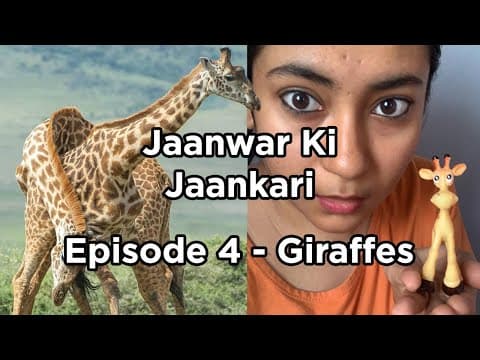 Jaanwar Ki Jaankari Episode 4 - Giraffe  | Comedy | Sumaira Shaikh